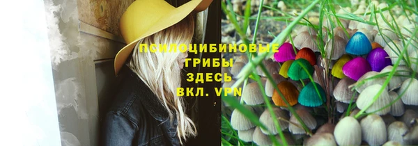 тгк Абдулино